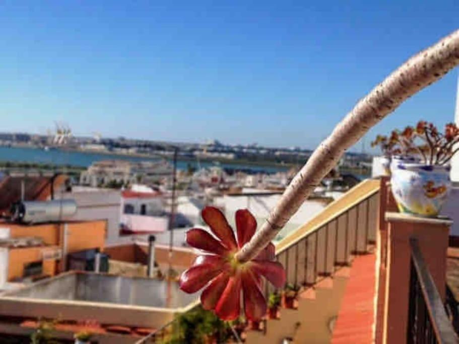 “Flor De Sal” Charming Traditional Andalusian House Ayamonte Zewnętrze zdjęcie
