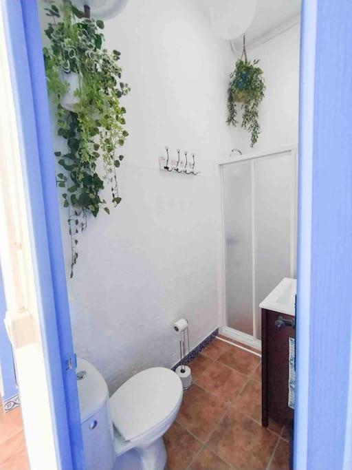 “Flor De Sal” Charming Traditional Andalusian House Ayamonte Zewnętrze zdjęcie